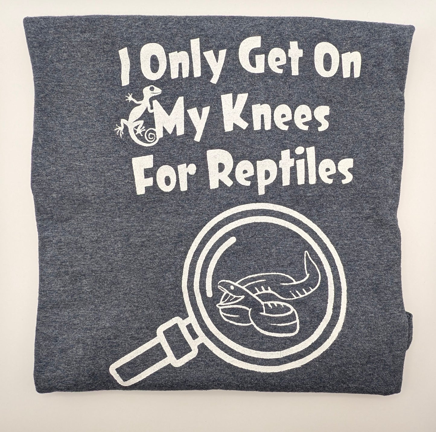 Searching for Reptiles Plus Size